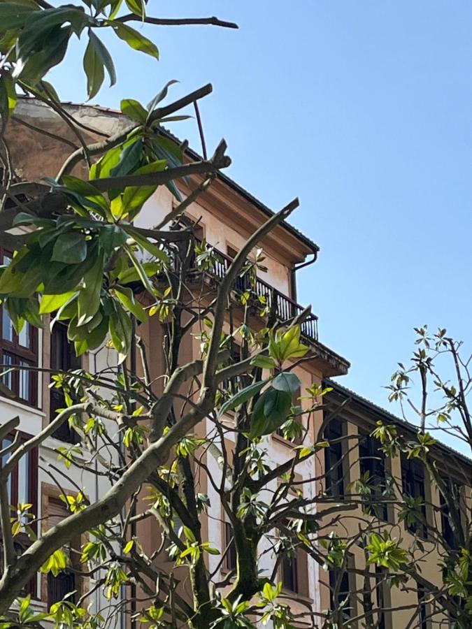 Apartamento Wamba - La Catedral Oviedo Dış mekan fotoğraf